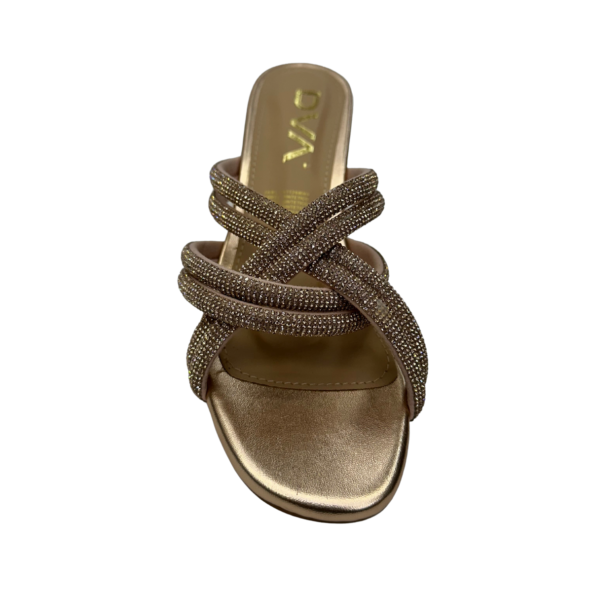 Jucundiana c713803