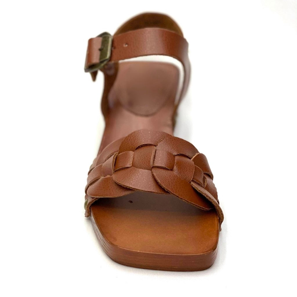 Sagrario c221003 tan