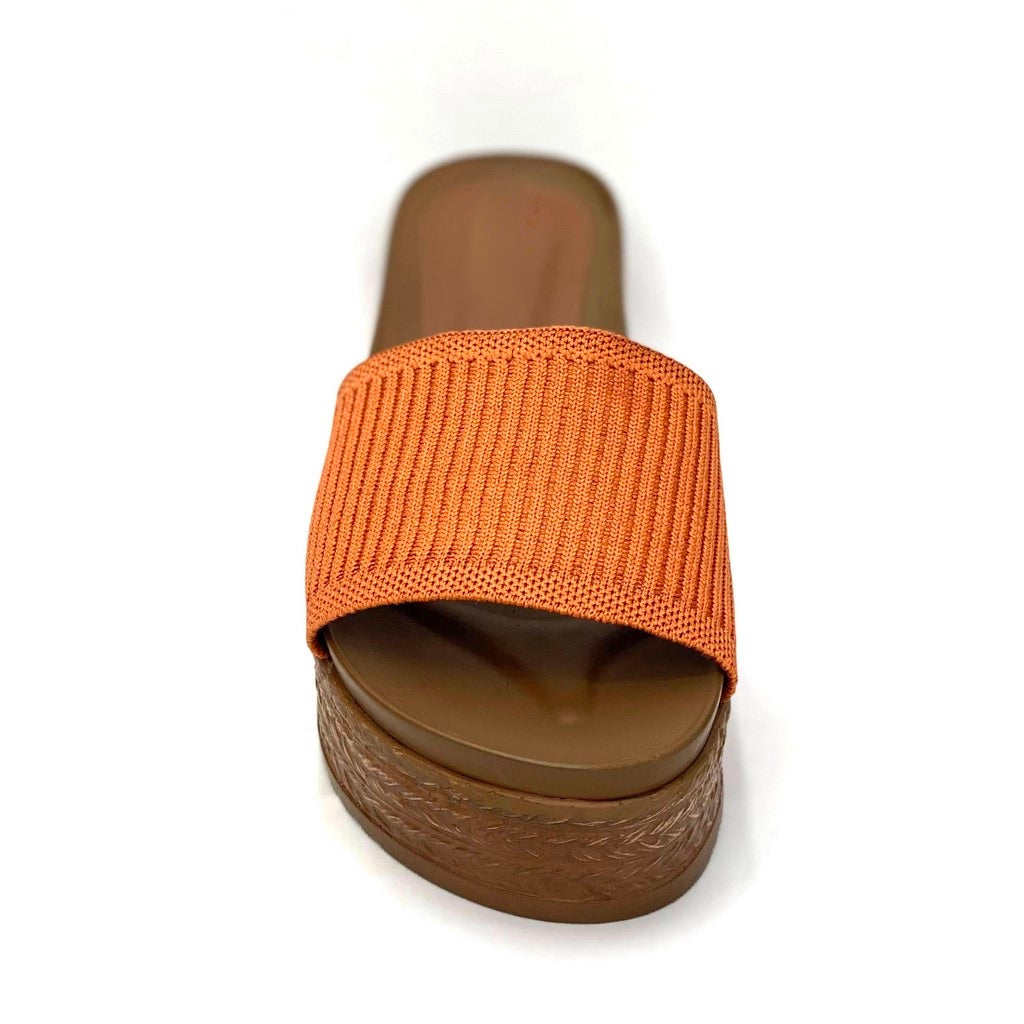 Paricia c221366 naranja