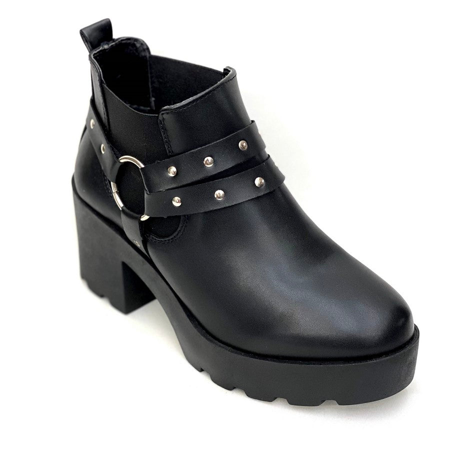 Braulia rs6564