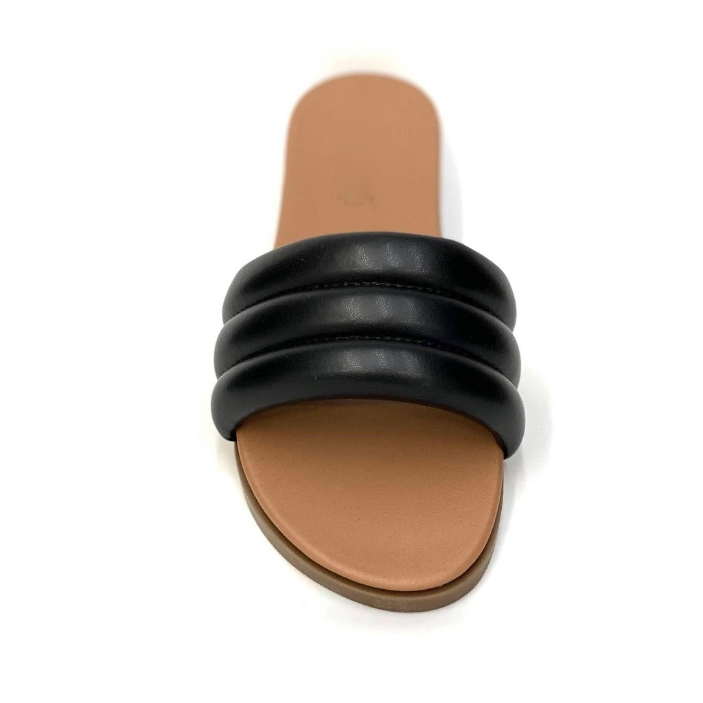 Palemona sa3574 negro