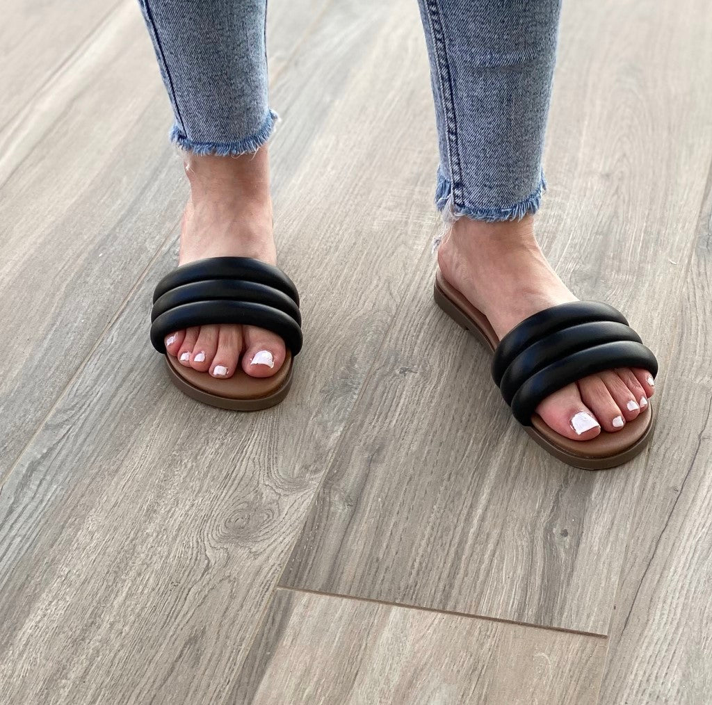 Palemona sa3574 negro