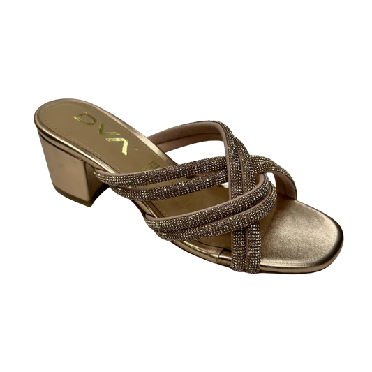 Jucundiana c713803