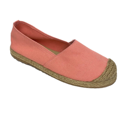 Baudelia c224801 coral