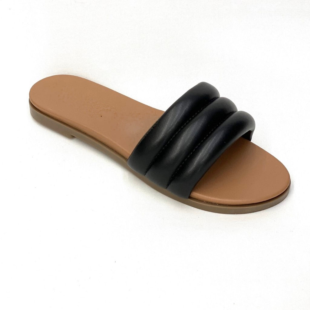 Palemona sa3574 negro