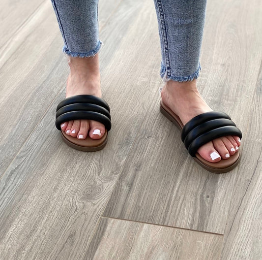 Palemona sa3574 negro